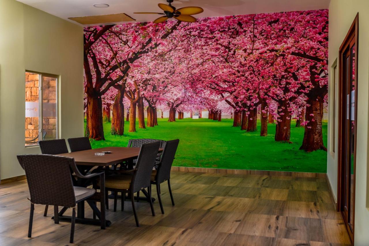 Durazno Inn Nuevo Casas Grandes 外观 照片